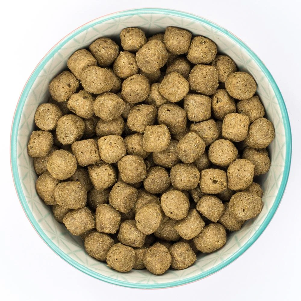 Burns Original Fish & Brown Rice Dry Dog Food - 12kg 6 Burns Original Fish & Brown Rice Dry Dog Food - 12kg - Image 4