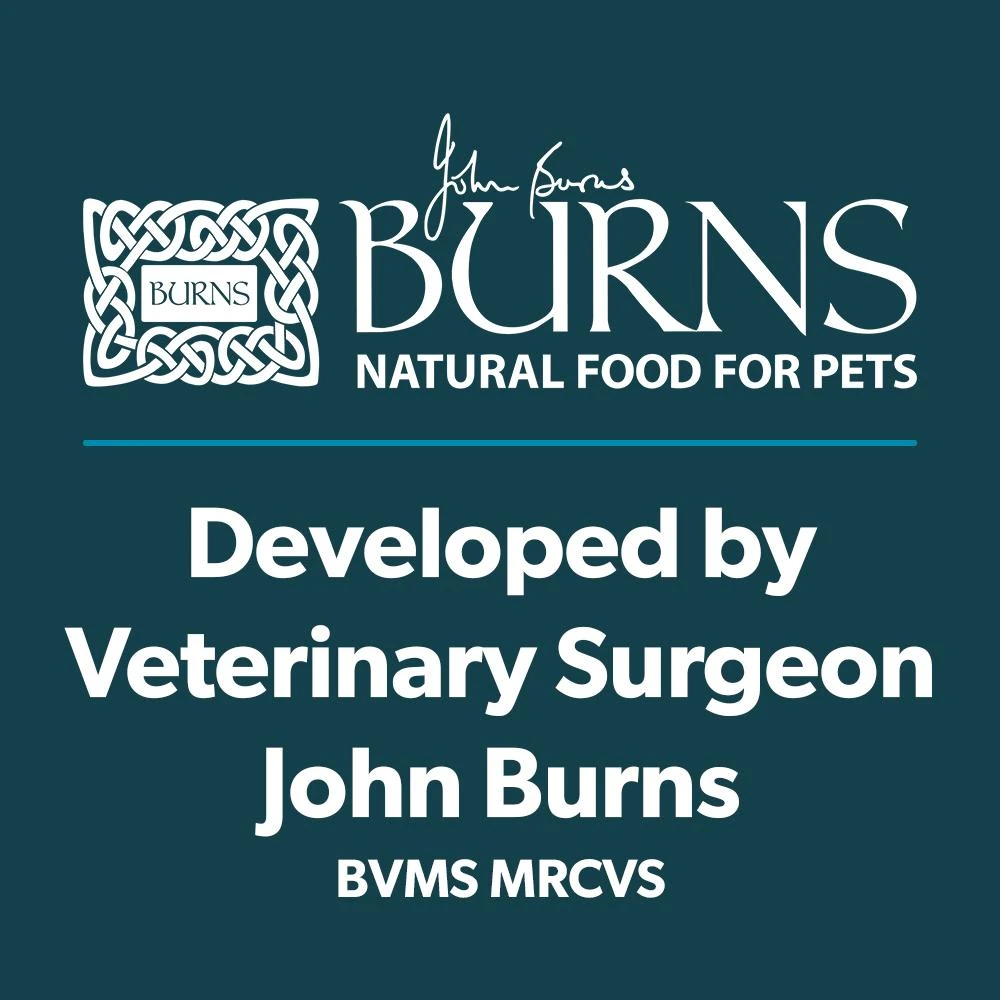 Burns Original Fish & Brown Rice Dry Dog Food - 12kg 9 Burns Original Fish & Brown Rice Dry Dog Food - 12kg - Image 7