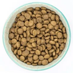 Burns Small Breed Chicken & Rice Dry Dog Food - 6kg -Hills || ROYAL CANIN Sales Burns Small Breed Chicken Rice Dry Dog Food 6kg vetshop 4
