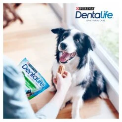 Dentalife Medium Dog Chews - 84 Pack -Hills || ROYAL CANIN Sales Dentalife Medium Dog Chews 84 Pack vetshop 5