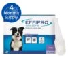 Effipro Spot On Flea & Tick Treatment For Medium Dogs (10-20kg) - 4 Pack 2 Effipro Spot On Flea & Tick Treatment For Medium Dogs (10-20kg) - 4 Pack -Hills || ROYAL CANIN Sales Effipro Spot On Flea Treatment For Medium Dogs vetshop 1