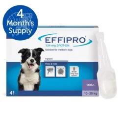 Effipro Spot On Flea & Tick Treatment For Medium Dogs (10-20kg) - 4 Pack