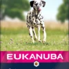 Eukanuba Adult Salmon & Barley Large Breed Dry Dog Food - 12kg 1 Eukanuba Adult Salmon & Barley Large Breed Dry Dog Food - 12kg -Hills || ROYAL CANIN Sales Eukanuba Adult Salmon Rice Dry Dog Food 12kg vetshop 1