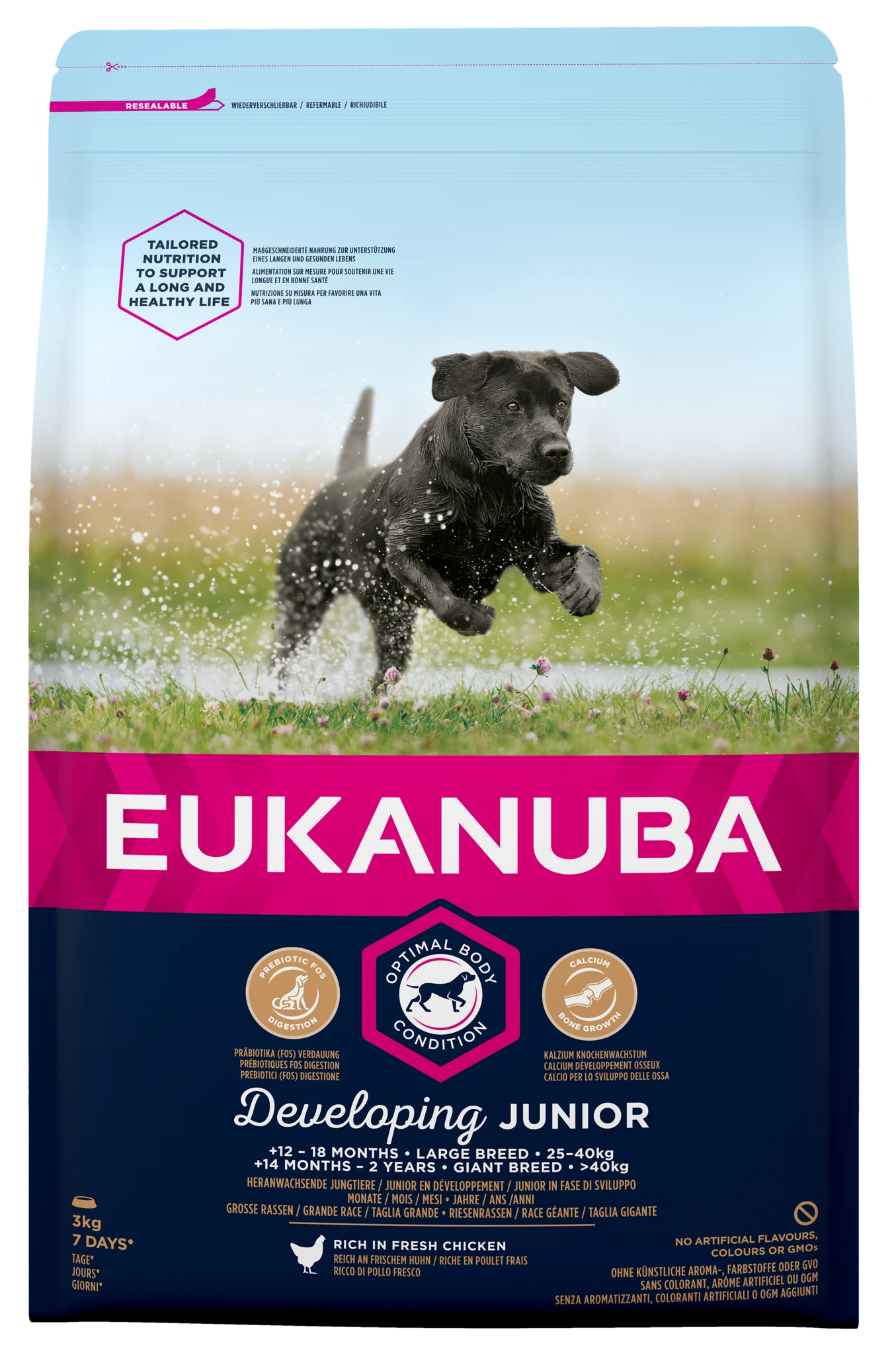 Eukanuba Developing Junior Large Breed Chicken Dry Dog Food - 3kg 3 Eukanuba Developing Junior Large Breed Chicken Dry Dog Food - 3kg