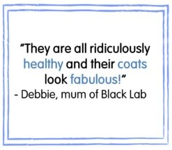 Eukanuba Thriving Mature Large Breed Dry Dog Food Chicken - 12kg 7 Eukanuba Thriving Mature Large Breed Dry Dog Food Chicken - 12kg -Hills || ROYAL CANIN Sales Eukanuba Senior Mature Large Breed Dry Dog Food 12kg vetshop 2 1