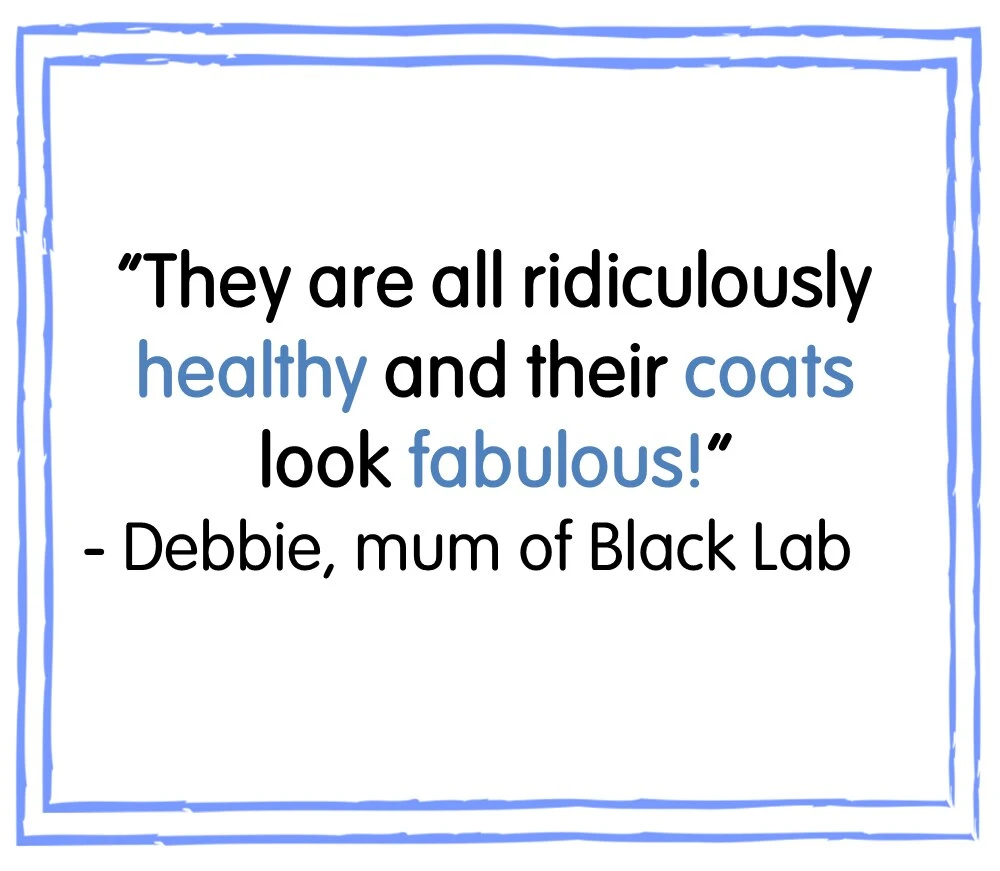 Eukanuba Thriving Mature Large Breed Dry Dog Food Chicken - 12kg 5 Eukanuba Thriving Mature Large Breed Dry Dog Food Chicken - 12kg - Image 3