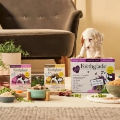 Forthglade Complete Puppy Wholegrain Variety Chicken/Duck With Oats & Veg - 12 X 395g -Hills || ROYAL CANIN Sales Forthglade Complete Puppy Wholegrain Variety Chicken Duck with Oats Veg 12x395g vetshop 4