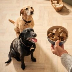 Forthglade Complete Senior Dog Grain Free Turkey With Butternut Squash & Veg Wet Dog Food - 18 X 395g -Hills || ROYAL CANIN Sales Forthglade Complete Senior Dog Grain Free Turkey with Butternut Squash Veg 18 x 395g vetshop 7