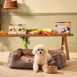 Forthglade Complete Senior Dog Grain Free Variety Turkey/Lamb With Butternut Squash & Veg - 12 X 395g -Hills || ROYAL CANIN Sales Forthglade Complete Senior Dog Grain Free Variety Turkey Lamb with Butternut Squash Veg 12x395g vetshop 5