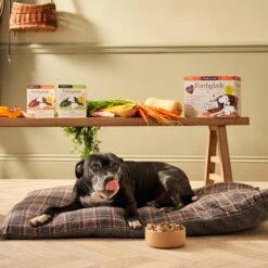 Forthglade Complete Senior Dog Grain Free Variety Turkey/Lamb With Butternut Squash & Veg - 12 X 395g -Hills || ROYAL CANIN Sales Forthglade Complete Senior Dog Grain Free Variety Turkey Lamb with Butternut Squash Veg 12x395g vetshop 6