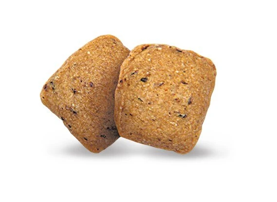 Green Petfood VeggieDog Grain Free Adult Dry Dog Food - 10kg 4 Green Petfood VeggieDog Grain Free Adult Dry Dog Food - 10kg - Image 2