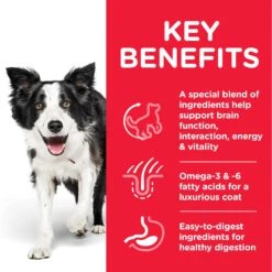 Hills Hill's Science Plan Adult 7+ Senior Vitality Medium Breed Chicken Dry Dog Food - 2.5kg -Hills || ROYAL CANIN Sales Hill Science Plan Adult 7 Senior Medium Breed Dry Dog Food 2 5kg vetshop 3