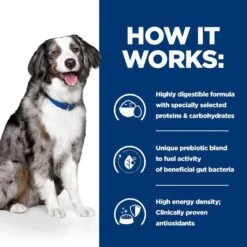 Hill's Prescription Diet I/D Digestive Care With Egg & Rice Dog Food - 12kg -Hills || ROYAL CANIN Sales Hills Prescription Diet I D Digestive Care with Egg and Rice Dog Food 12kg vetshop 4