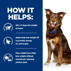 Hill's Prescription Diet Metabolic Weight Management With Chicken Dry Dog Food - 10kg -Hills || ROYAL CANIN Sales Hills Prescription Diet Metabolic Weight Management with Chicken Dry Dog Food 10kg vetshop 4