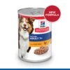 Hills Hill's Science Plan Mature Adult 7+ Chicken Wet Dog Food Cans - 12 X 370g -Hills || ROYAL CANIN Sales Hills Science Plan Canine Mature Adult 7 Savoury Chicken Cans 12 x 370g vetshop 1