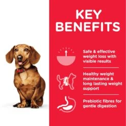 Hills Hill's Science Plan Perfect Weight Mini Adult Dry Dog Food - 1.5kg -Hills || ROYAL CANIN Sales Hills Science Plan Perfect Weight Mini Adult Dry Dog Food 2kg vetshop 3