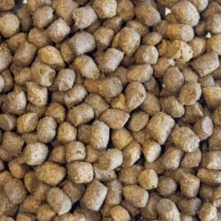 Huntland Deboned Chicken Turkey Grain Free Dry Puppy Food - 10kg + 2kg FREE -Hills || ROYAL CANIN Sales Huntland Deboned Chicken and Turkey Grain Free Puppy Food 12kg vetshop 6