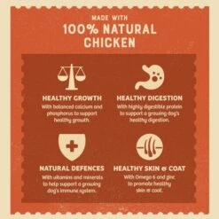 James Wellbeloved Puppy Chicken, Rice And Vegetable In Loaf Wet Dog Food Cans - 12 X 400g -Hills || ROYAL CANIN Sales James Wellbeloved Puppy Chicken Rice and Vegetable in Loaf Can 400g vetshop 4