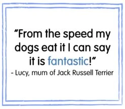 James Wellbeloved Adult Wet Dog Food Pouches Turkey In Gravy - 10x150g -Hills || ROYAL CANIN Sales James Wellbeloved Turkey Rice Adult Dog Pouches 10 Pack 150g vetshop 2 1