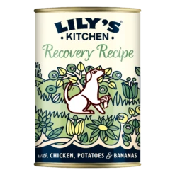 Lily's Kitchen Recovery Recipe Wet Dog Food Tins - 6 X 400g