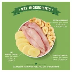 Lily's Kitchen Recovery Recipe Wet Dog Food Tins - 6 X 400g -Hills || ROYAL CANIN Sales Lilys Kitchen Recovery Recipe Dog Food Tins 6x400g vetshop 4