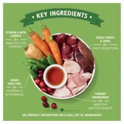 Lily's Kitchen Senior Recipe Dog Food Tins - 6 X 400g -Hills || ROYAL CANIN Sales Lilys Kitchen Senior Recipe Dog Food Tins 6x400g vetshop 4