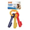 Nylabone Puppy Teething Keys Dog Toy - Small -Hills || ROYAL CANIN Sales Nylabone Puppy Teething Keys Small vetshop 1