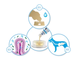 Oralade GI Oral Rehydration Support Liquid Concentrate Sachets For Cats & Dogs - 6 X 50ml 14 Oralade GI Oral Rehydration Support Liquid Concentrate Sachets For Cats & Dogs - 6 X 50ml -Hills || ROYAL CANIN Sales Oralade GI Support Recovery Sachets for Cats Dogs 50ml x 6 vetshop 6