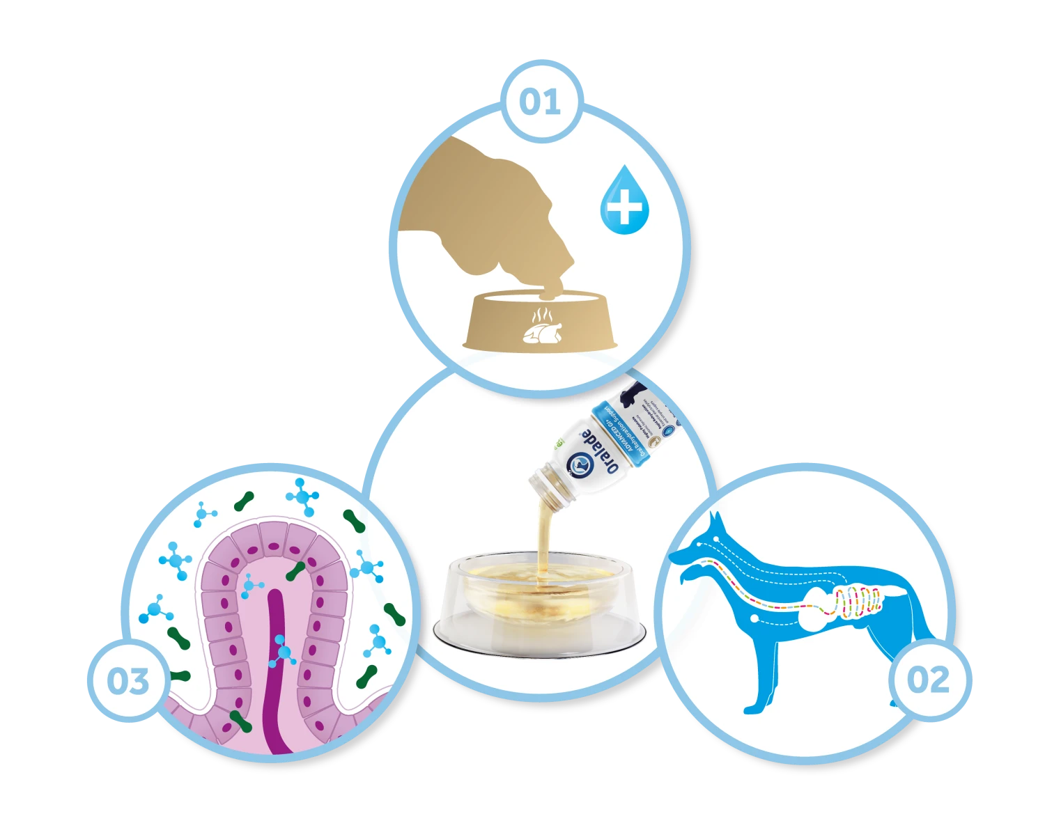 Oralade GI Oral Rehydration Support Liquid Concentrate Sachets For Cats & Dogs - 6 X 50ml 8 Oralade GI Oral Rehydration Support Liquid Concentrate Sachets For Cats & Dogs - 6 X 50ml - Image 6