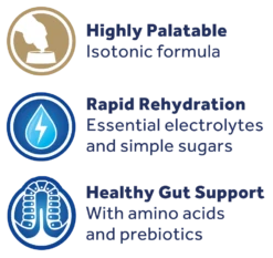 Oralade GI Oral Rehydration Support Liquid Concentrate Sachets For Cats & Dogs - 6 X 50ml 15 Oralade GI Oral Rehydration Support Liquid Concentrate Sachets For Cats & Dogs - 6 X 50ml -Hills || ROYAL CANIN Sales Oralade GI Support Recovery Sachets for Cats Dogs 50ml x 6 vetshop 7