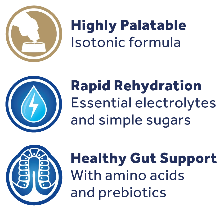 Oralade GI Oral Rehydration Support Liquid Concentrate Sachets For Cats & Dogs - 6 X 50ml 9 Oralade GI Oral Rehydration Support Liquid Concentrate Sachets For Cats & Dogs - 6 X 50ml - Image 7