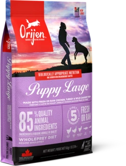 Orijen Large Breed Dry Puppy Food - 6kg
