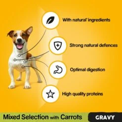 Pedigree Adult Mixed Selection In Gravy Wet Dog Food Pouches - 80 X 100g -Hills || ROYAL CANIN Sales Pedigree Adult Mixed Selection in Gravy Wet Dog Food Pouches 80 x 100g vetshop 4