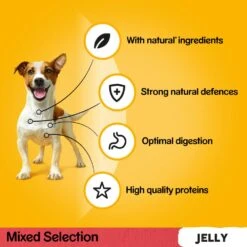 Pedigree Adult Mixed Selection In Jelly Wet Dog Food Pouches - 80 X 100g -Hills || ROYAL CANIN Sales Pedigree Adult Mixed Selection in Jelly Wet Dog Food Pouches 80 x 100g vetshop 4