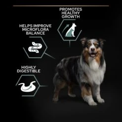 PRO PLAN Medium & Large Adult Dry Dog Food Sensitive Digestion Grain Free Formula Rich In Turkey - 12kg -Hills || ROYAL CANIN Sales Pro Plan Grain Free Medium Large Adult With Sensitive Digestion Turkey Dry Dog Food 12kg vetshop 4