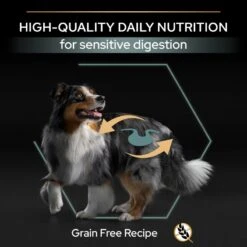 PRO PLAN Medium & Large Adult Dry Dog Food Sensitive Digestion Grain Free Formula Rich In Turkey - 12kg -Hills || ROYAL CANIN Sales Pro Plan Grain Free Medium Large Adult With Sensitive Digestion Turkey Dry Dog Food 12kg vetshop 7