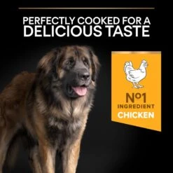 PRO PLAN Large Robust Adult Dry Dog Food Everyday Nutrition Rich In Chicken - 14kg -Hills || ROYAL CANIN Sales Pro Plan Large Breed Robust Adult Chicken Dry Dog Food 14kg vetshop 5