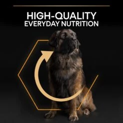 PRO PLAN Large Robust Adult Dry Dog Food Everyday Nutrition Rich In Chicken - 14kg -Hills || ROYAL CANIN Sales Pro Plan Large Breed Robust Adult Chicken Dry Dog Food 14kg vetshop 7