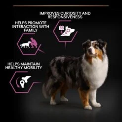 PRO PLAN Medium & Large Adult Senior Dry Dog Food Age Defence 7+ Rich In Chicken - 3kg 16 PRO PLAN Medium & Large Adult Senior Dry Dog Food Age Defence 7+ Rich In Chicken - 3kg -Hills || ROYAL CANIN Sales Pro Plan Senior Chicken Dry Dog Food 3kg vetshop 4