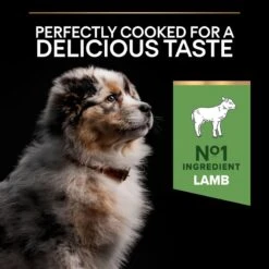 PRO PLAN Medium Puppy Dry Dog Food Sensitive Digestion Rich In Lamb - 3kg 17 PRO PLAN Medium Puppy Dry Dog Food Sensitive Digestion Rich In Lamb - 3kg -Hills || ROYAL CANIN Sales Pro Plan Sensitive Digestion Rich in Lamb with Optidigest Dry Puppy Food 3kg vetshop 5