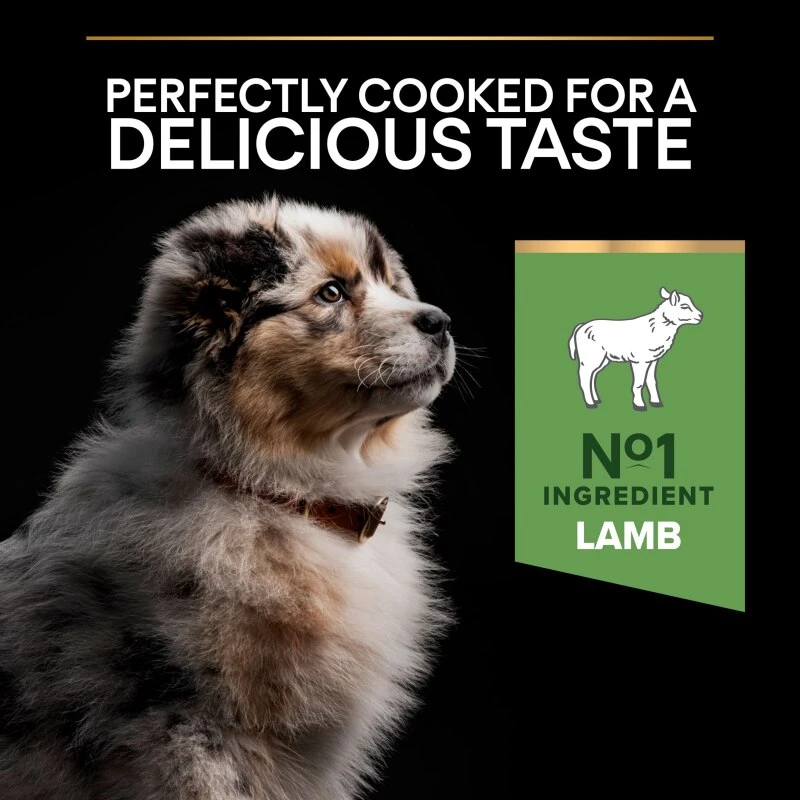 PRO PLAN Medium Puppy Dry Dog Food Sensitive Digestion Rich In Lamb - 3kg 7 PRO PLAN Medium Puppy Dry Dog Food Sensitive Digestion Rich In Lamb - 3kg - Image 5