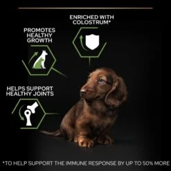 PRO PLAN Small & Mini Puppy Dry Dog Food Healthy Start Rich In Chicken - 7kg 16 PRO PLAN Small & Mini Puppy Dry Dog Food Healthy Start Rich In Chicken - 7kg -Hills || ROYAL CANIN Sales Pro Plan Small Mini Rich In Chicken Dry Puppy Food 7kg vetshop 4