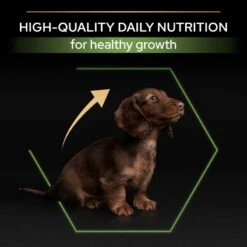 PRO PLAN Small & Mini Puppy Dry Dog Food Healthy Start Rich In Chicken - 7kg 19 PRO PLAN Small & Mini Puppy Dry Dog Food Healthy Start Rich In Chicken - 7kg -Hills || ROYAL CANIN Sales Pro Plan Small Mini Rich In Chicken Dry Puppy Food 7kg vetshop 7