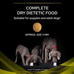 Pro Plan Veterinary Diet Canine HP Hepatic Dry Dog Food - 12kg -Hills || ROYAL CANIN Sales Pro Plan Veterinary Diet Canine HP 12KG vetshop 7