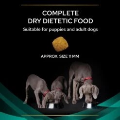 Pro Plan Veterinary Diet Canine EN Gastrointestinal Dry Dog Food - 5kg -Hills || ROYAL CANIN Sales Purina Veterinary Diet Canine EN Gastroenteric Dry Dog Food 3Kg vetshop 7