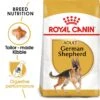 Royal Canin Adult German Shepherd Dry Dog Food - 3kg -Hills || ROYAL CANIN Sales Royal Canin Canine Adult German Shepherd Dry Dog Food 3kg vetshop 1