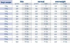 Royal Canin Veterinary Diet Canine Dental Dry Dog Food - 6kg 7 Royal Canin Veterinary Diet Canine Dental Dry Dog Food - 6kg -Hills || ROYAL CANIN Sales Royal Canin Canine Dental Dry Dog Food 6Kg vetshop 5