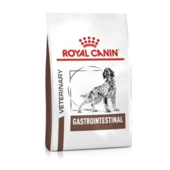 Royal Canin Veterinary Diet Canine Gastrointestinal Dry Dog Food - 15kg