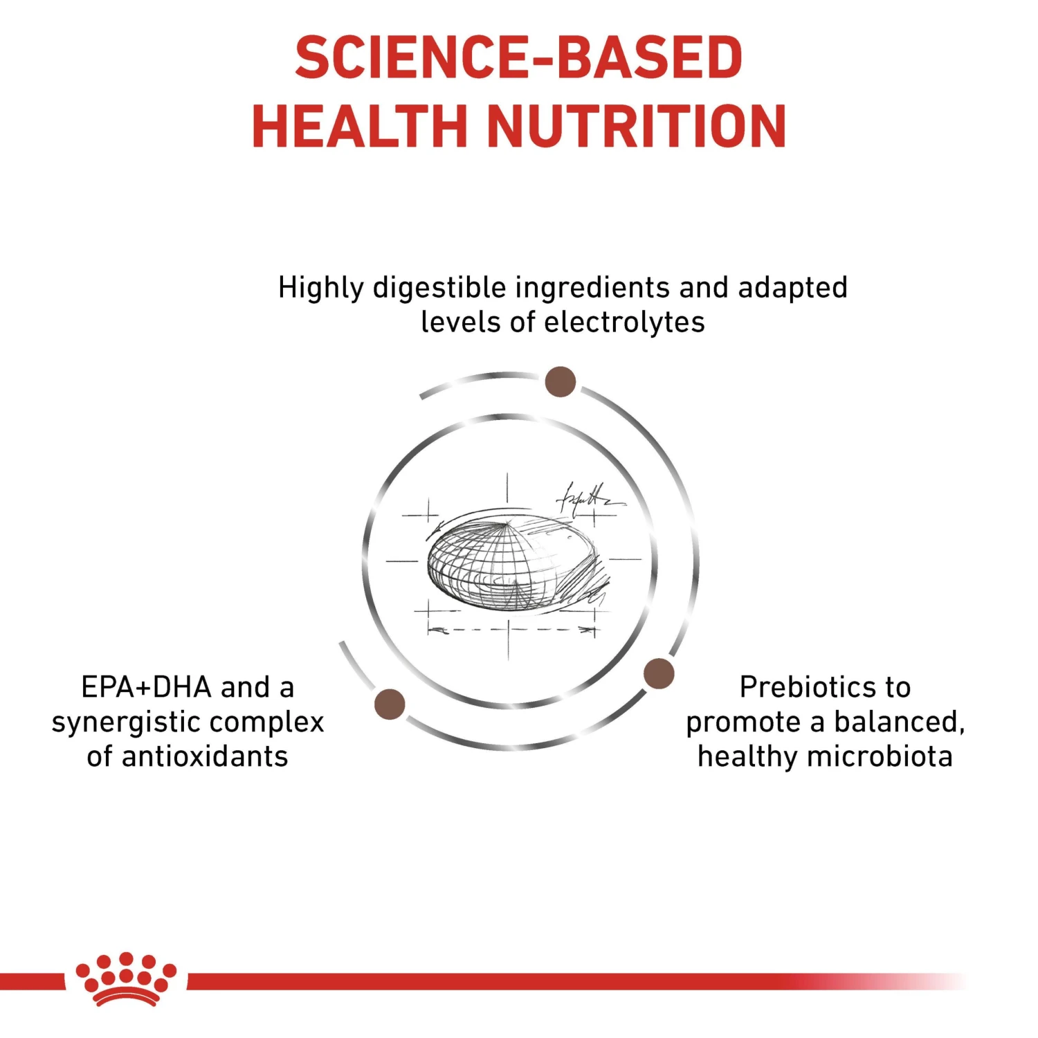 Royal Canin Veterinary Diet Canine Gastrointestinal Dry Dog Food - 15kg 6 Royal Canin Veterinary Diet Canine Gastrointestinal Dry Dog Food - 15kg - Image 4