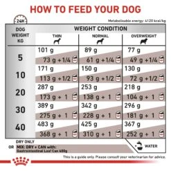 Royal Canin Veterinary Diet Canine Gastrointestinal Dry Dog Food - 15kg 15 Royal Canin Veterinary Diet Canine Gastrointestinal Dry Dog Food - 15kg -Hills || ROYAL CANIN Sales Royal Canin Canine Gastro Intestinal Dry Dog Food 15Kg vetshop 6
